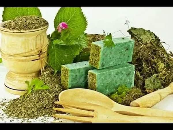 قیمت خرید پودر صابون مراغه با فروش عمده